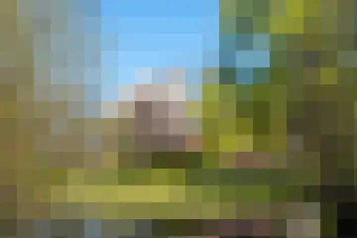 Goossensweg 2 Winterswijk Meddo thumbnail 46