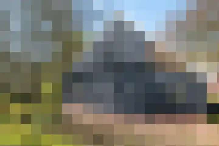 Goossensweg 2 Winterswijk Meddo thumbnail 48
