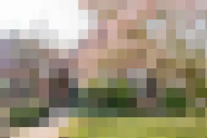 Goossensweg 2 Winterswijk Meddo thumbnail 49
