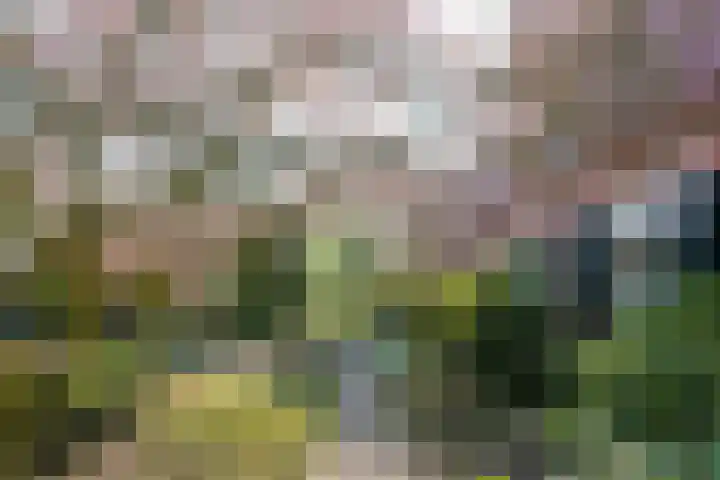 Goossensweg 2 Winterswijk Meddo thumbnail 5
