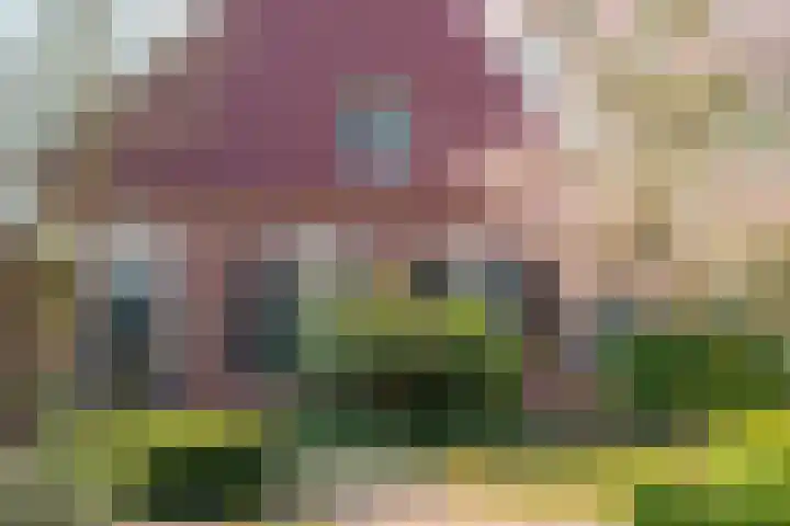 Goossensweg 2 Winterswijk Meddo thumbnail 50