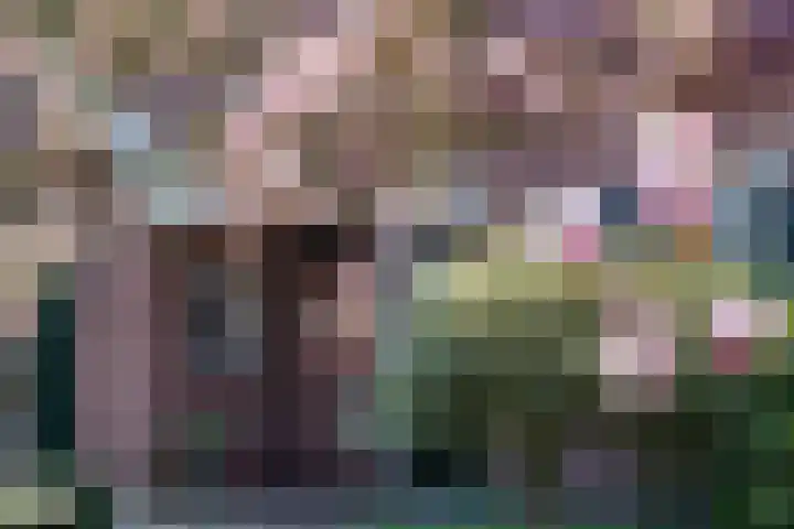 Goossensweg 2 Winterswijk Meddo thumbnail 51