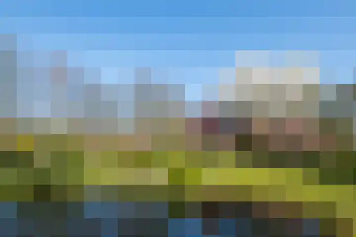 Goossensweg 2 Winterswijk Meddo thumbnail 52