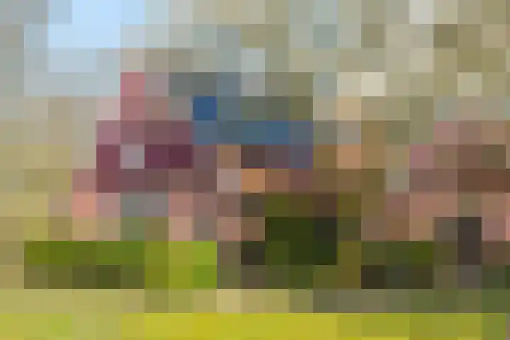 Goossensweg 2 Winterswijk Meddo thumbnail 53