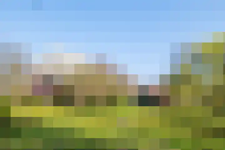 Goossensweg 2 Winterswijk Meddo thumbnail 55