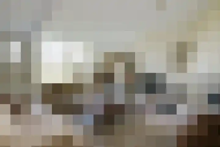 Goossensweg 2 Winterswijk Meddo thumbnail 60
