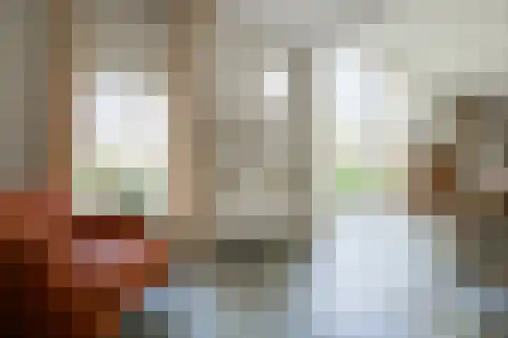 Goossensweg 2 Winterswijk Meddo thumbnail 61