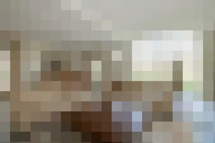Goossensweg 2 Winterswijk Meddo thumbnail 62