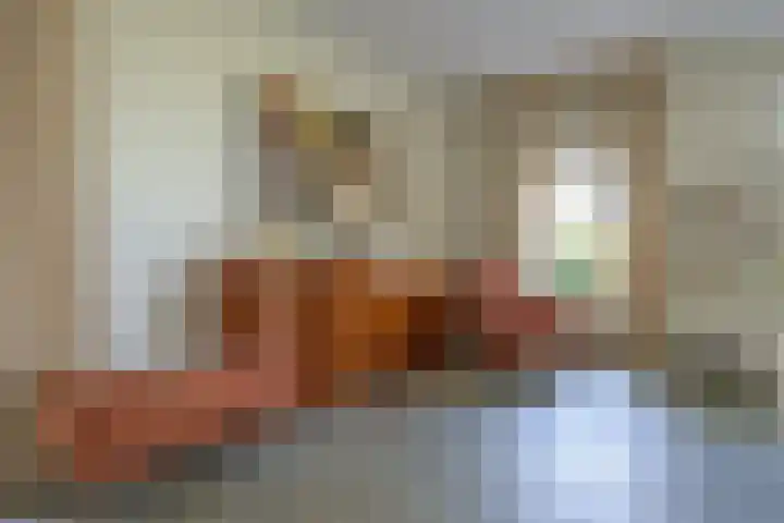 Goossensweg 2 Winterswijk Meddo thumbnail 68