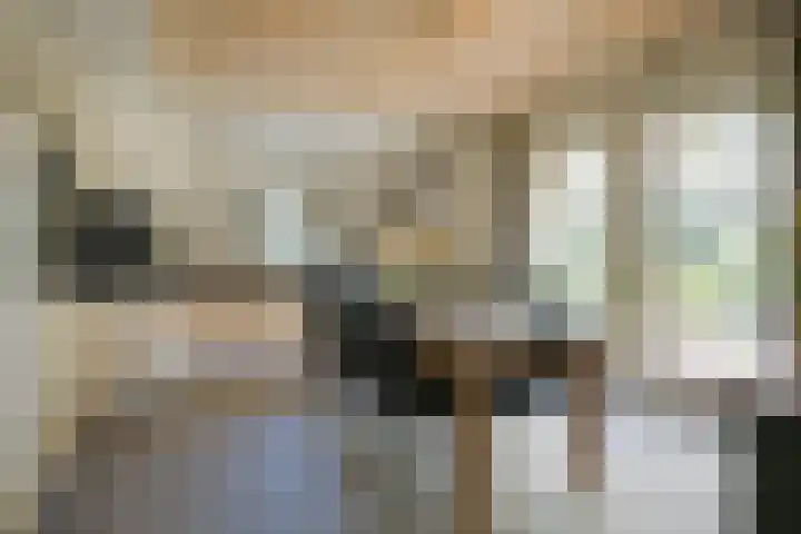 Goossensweg 2 Winterswijk Meddo thumbnail 71