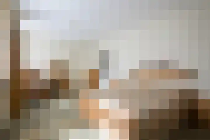 Goossensweg 2 Winterswijk Meddo thumbnail 77