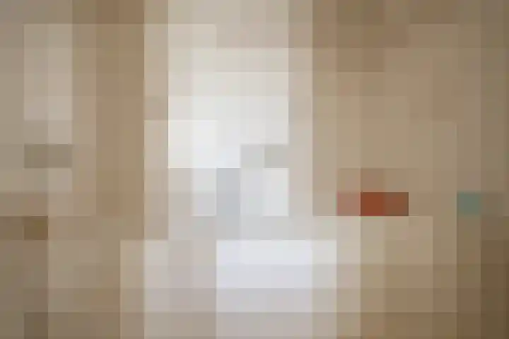 Goossensweg 2 Winterswijk Meddo thumbnail 79