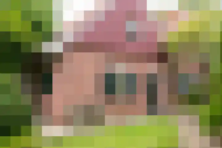 Goossensweg 2 Winterswijk Meddo thumbnail 8