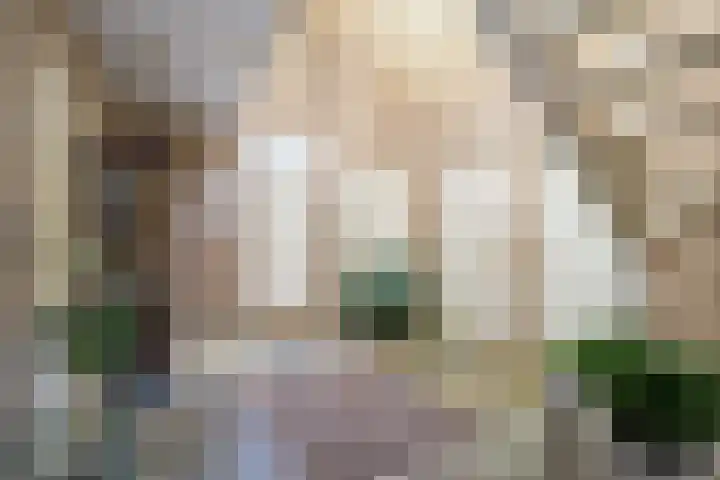 Goossensweg 2 Winterswijk Meddo thumbnail 84