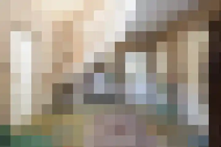 Goossensweg 2 Winterswijk Meddo thumbnail 86