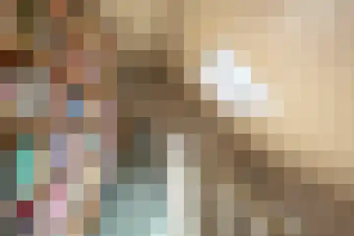 Goossensweg 2 Winterswijk Meddo thumbnail 89