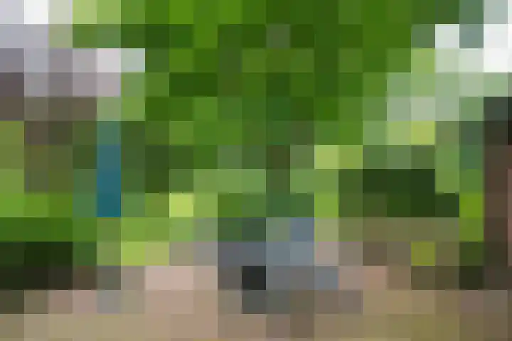Goossensweg 2 Winterswijk Meddo thumbnail 9