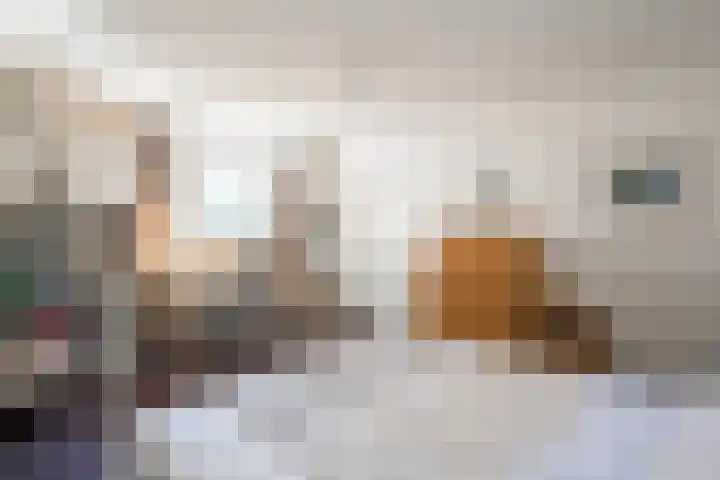 Goossensweg 2 Winterswijk Meddo thumbnail 91