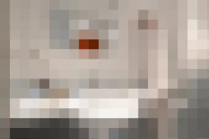 Goossensweg 2 Winterswijk Meddo thumbnail 95