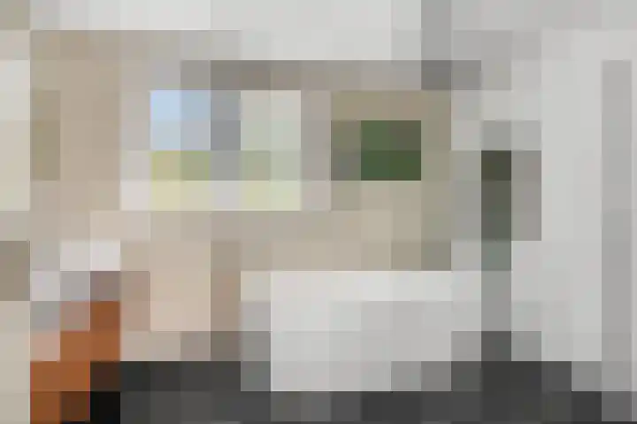 Gooswilligen 3 Scherpenzeel thumbnail 20