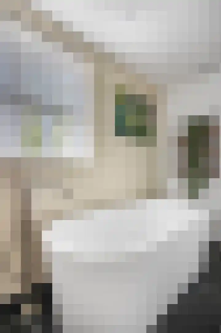 Gooswilligen 3 Scherpenzeel thumbnail 22