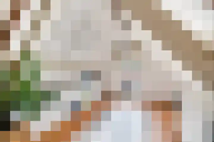 Gooswilligen 3 Scherpenzeel thumbnail 27
