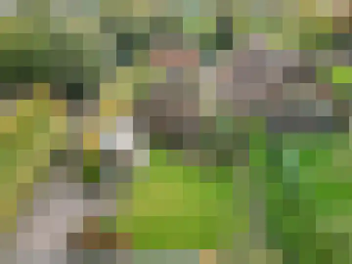 Gooswilligen 3 Scherpenzeel thumbnail 33