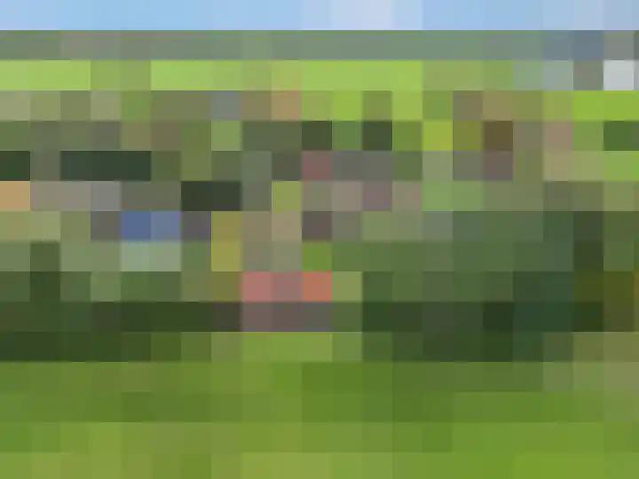 Gooswilligen 3 Scherpenzeel thumbnail 34
