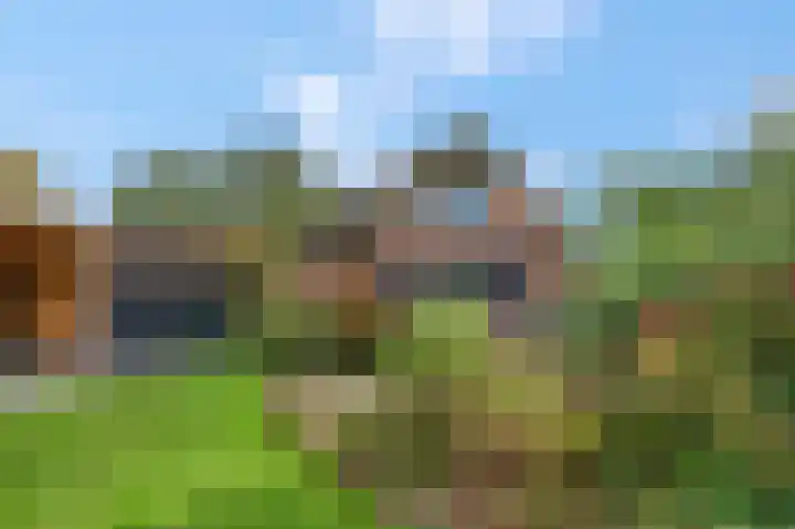 Gooswilligen 3 Scherpenzeel thumbnail 4