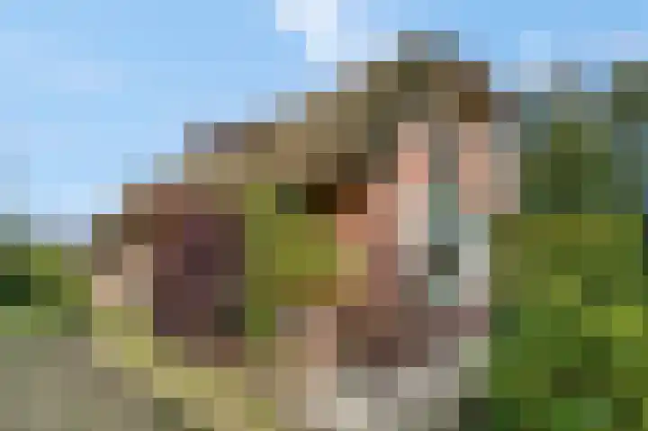 Gooswilligen 3 Scherpenzeel thumbnail 5