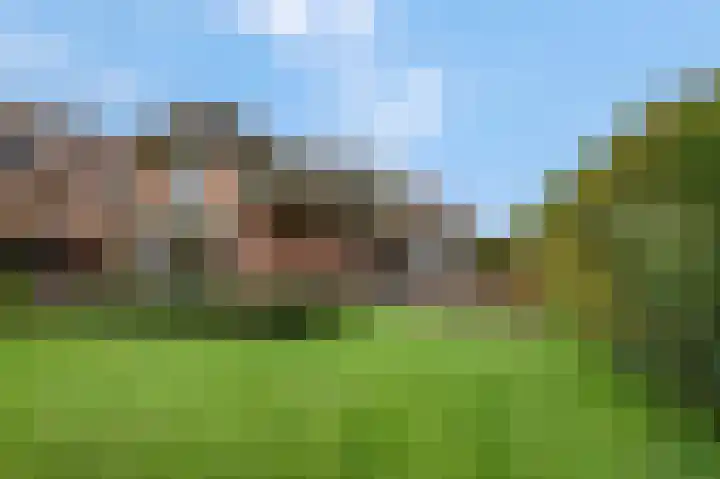 Gooswilligen 3 Scherpenzeel thumbnail 6