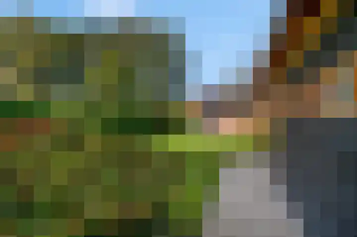 Gooswilligen 3 Scherpenzeel thumbnail 7