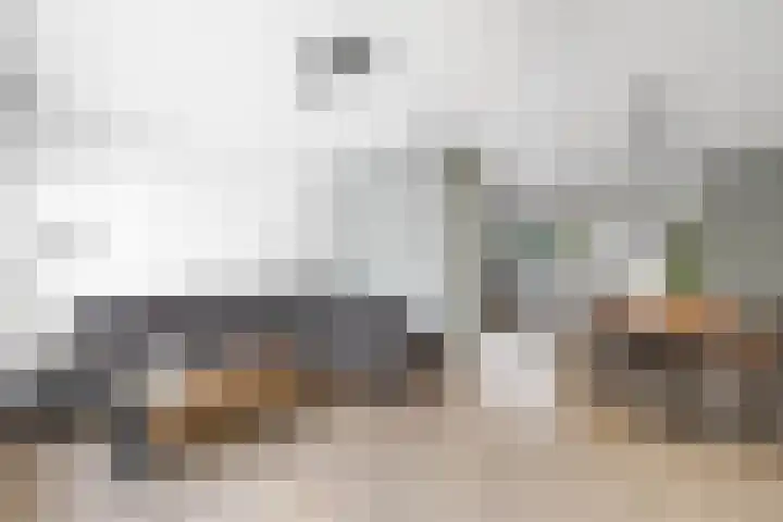 Gootepad 10 Brielle thumbnail 10