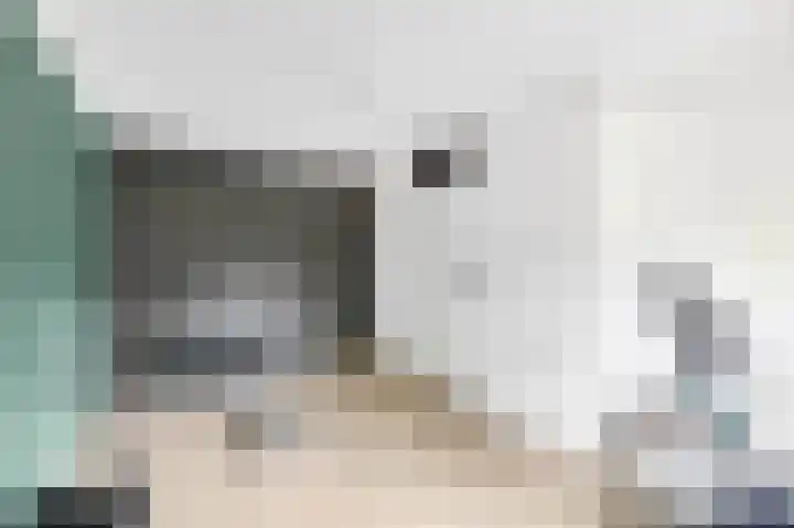 Gootepad 10 Brielle thumbnail 20
