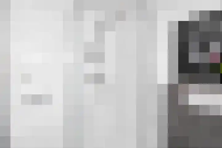 Gootepad 10 Brielle thumbnail 22