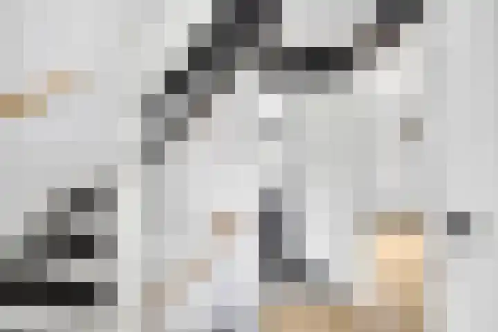 Gootepad 10 Brielle thumbnail 23