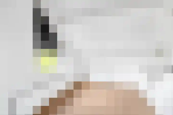 Gootepad 10 Brielle thumbnail 26