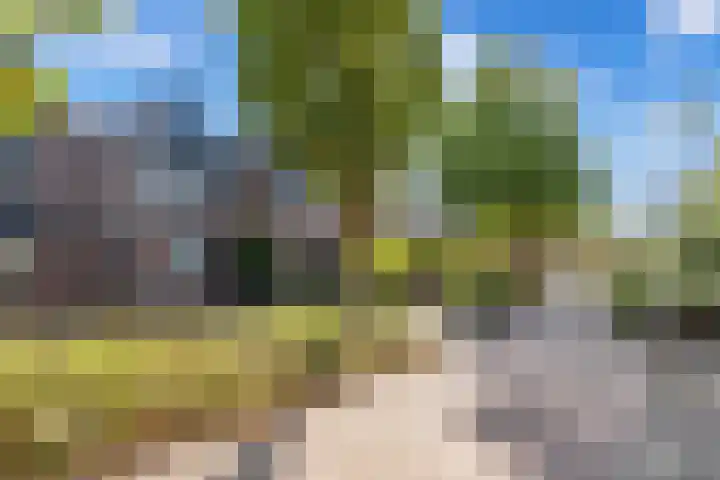 Gootepad 10 Brielle thumbnail 35