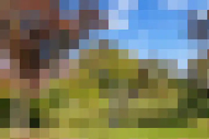 Gootepad 10 Brielle thumbnail 36