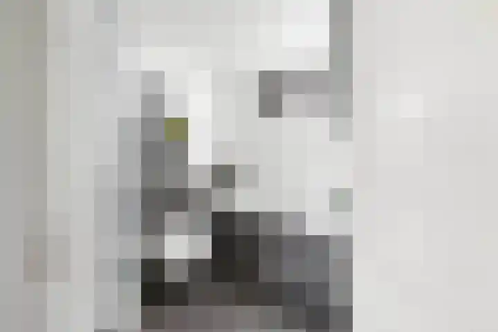 Gootepad 10 Brielle thumbnail 4