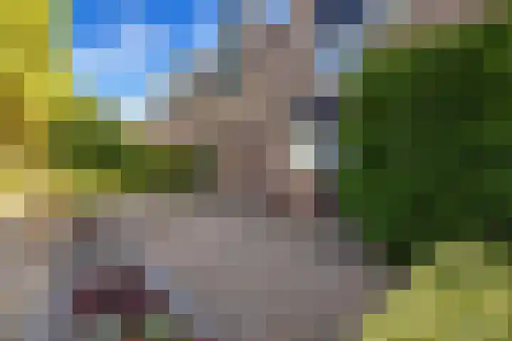 Gootepad 10 Brielle thumbnail 6