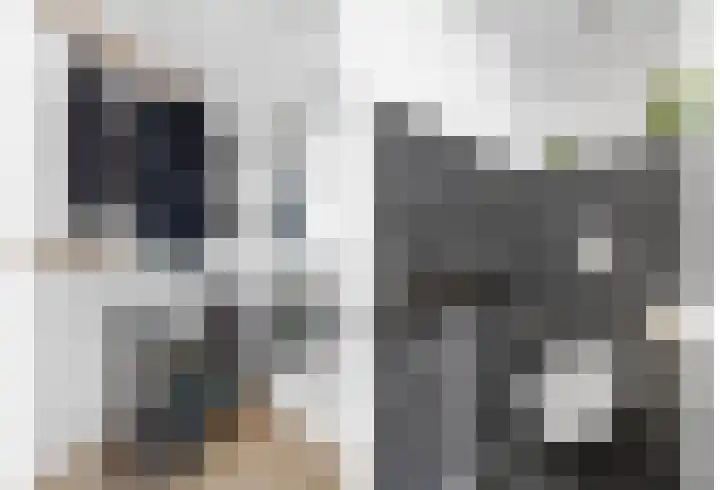 Gootepad 10 Brielle thumbnail 8