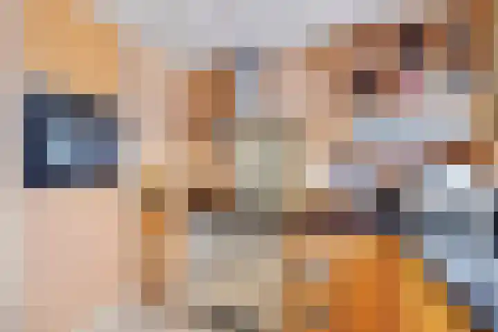 Gootepad 5 Brielle thumbnail 14