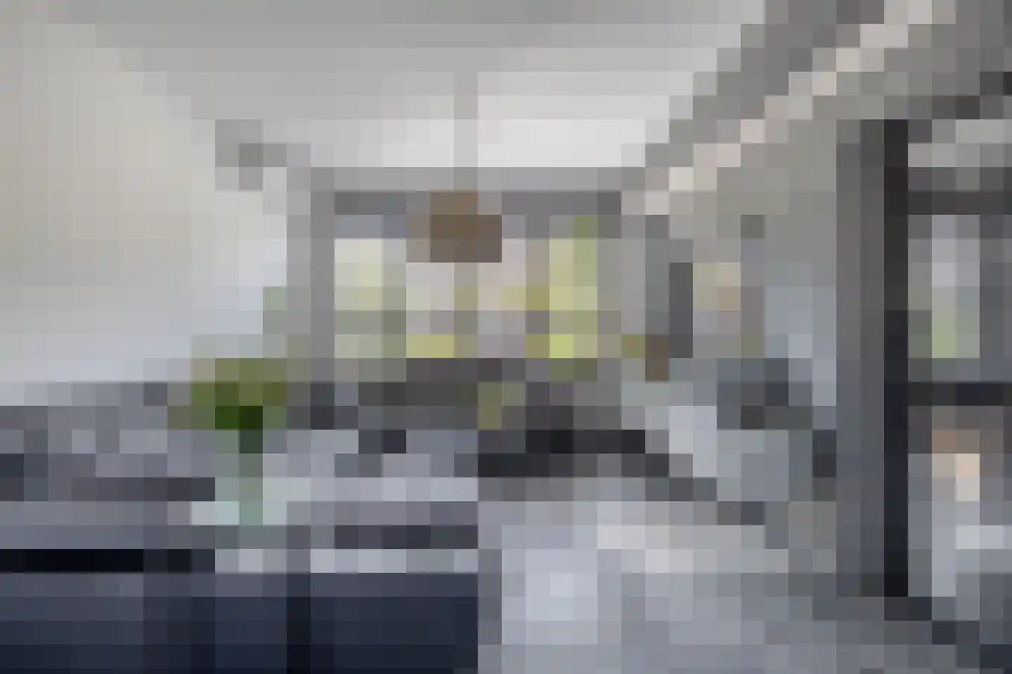 Gootsehoek 3 Zwartewaal thumbnail 10