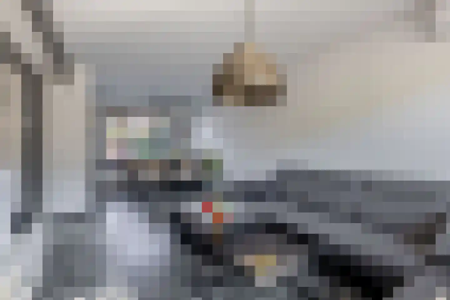 Gootsehoek 3 Zwartewaal thumbnail 12