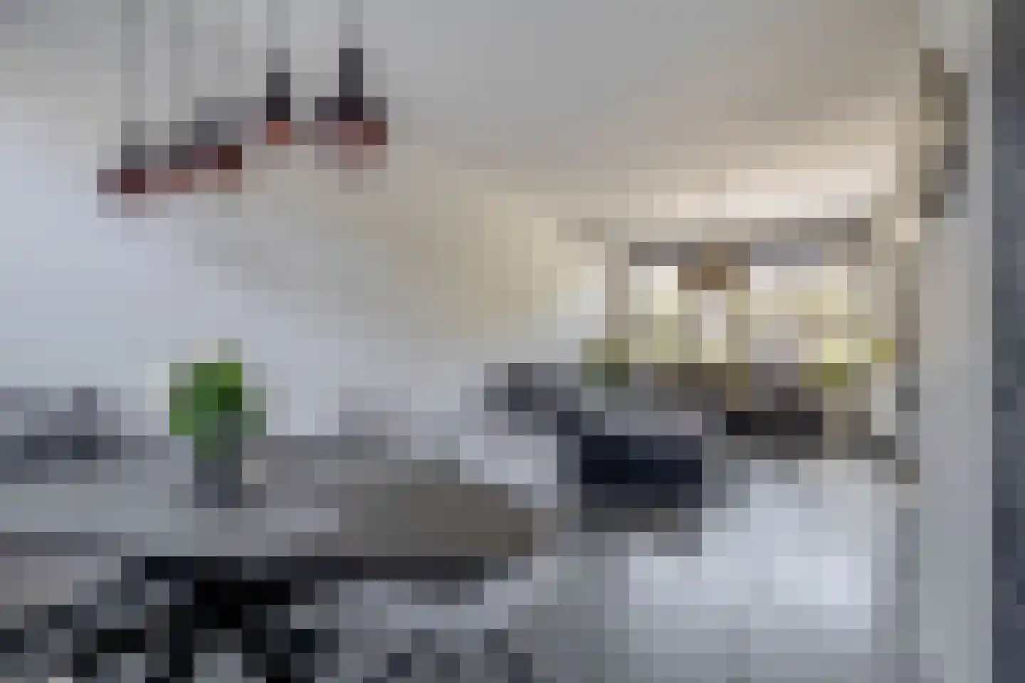 Gootsehoek 3 Zwartewaal thumbnail 14