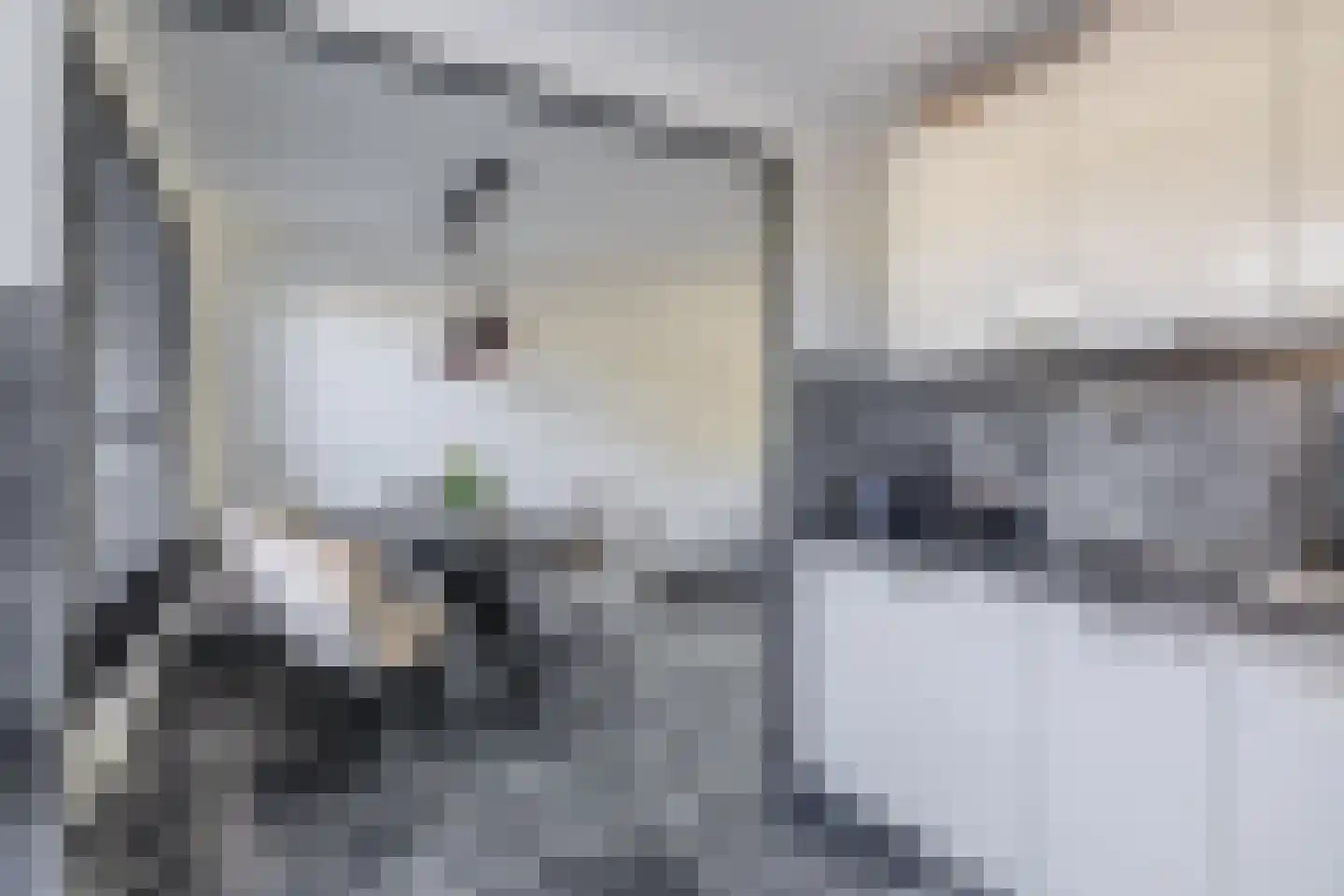 Gootsehoek 3 Zwartewaal thumbnail 18