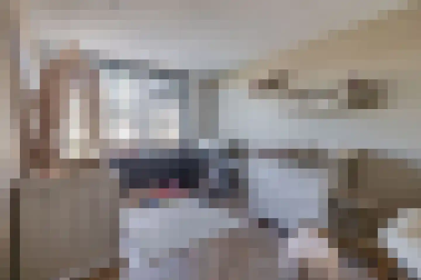 Gootsehoek 3 Zwartewaal thumbnail 22