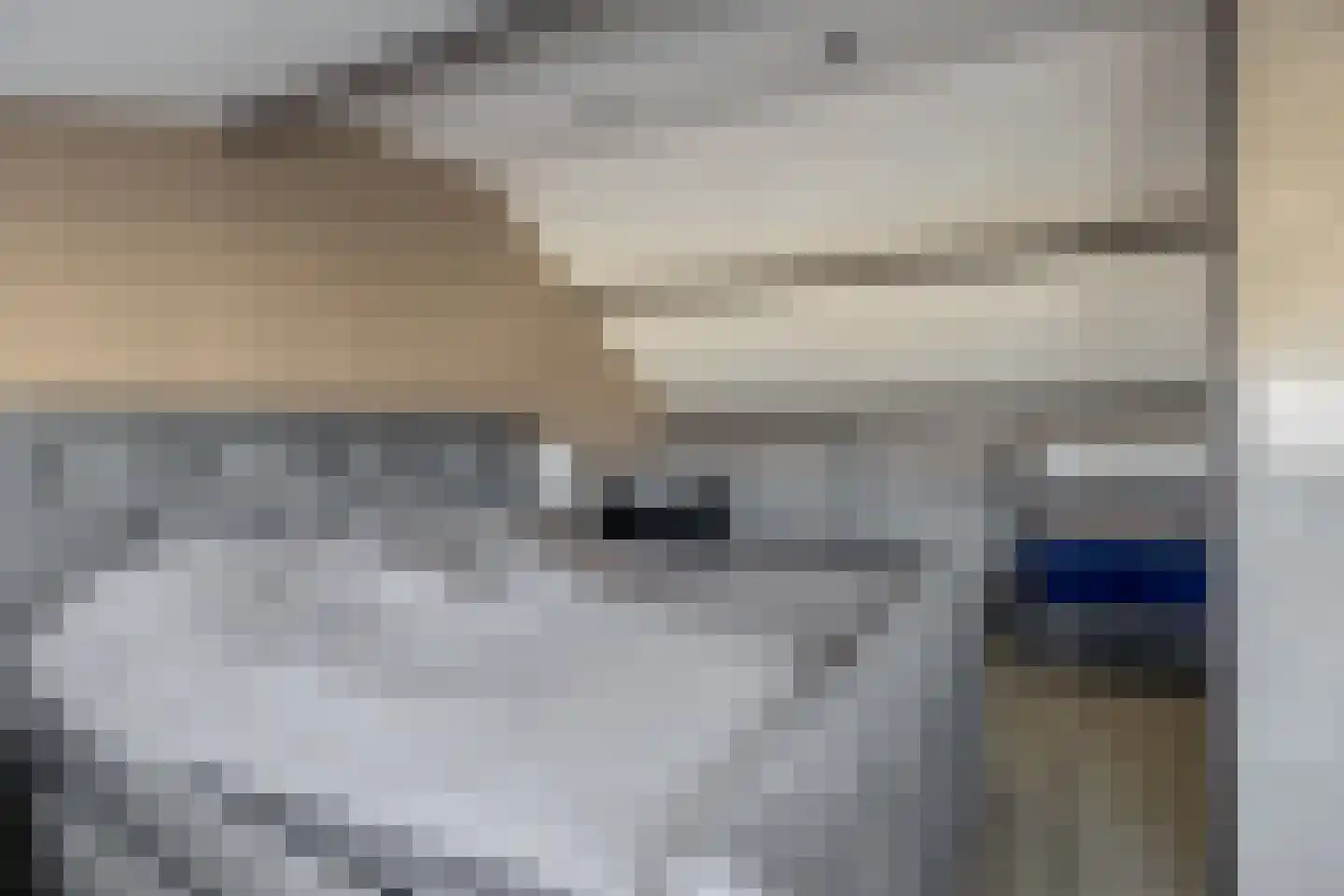 Gootsehoek 3 Zwartewaal thumbnail 26