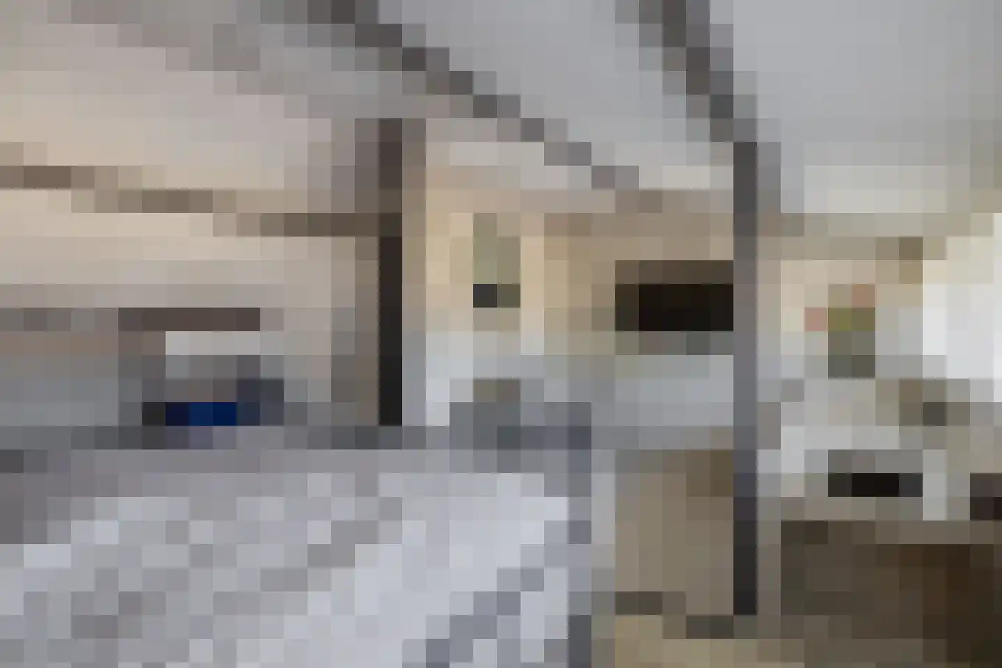 Gootsehoek 3 Zwartewaal thumbnail 27